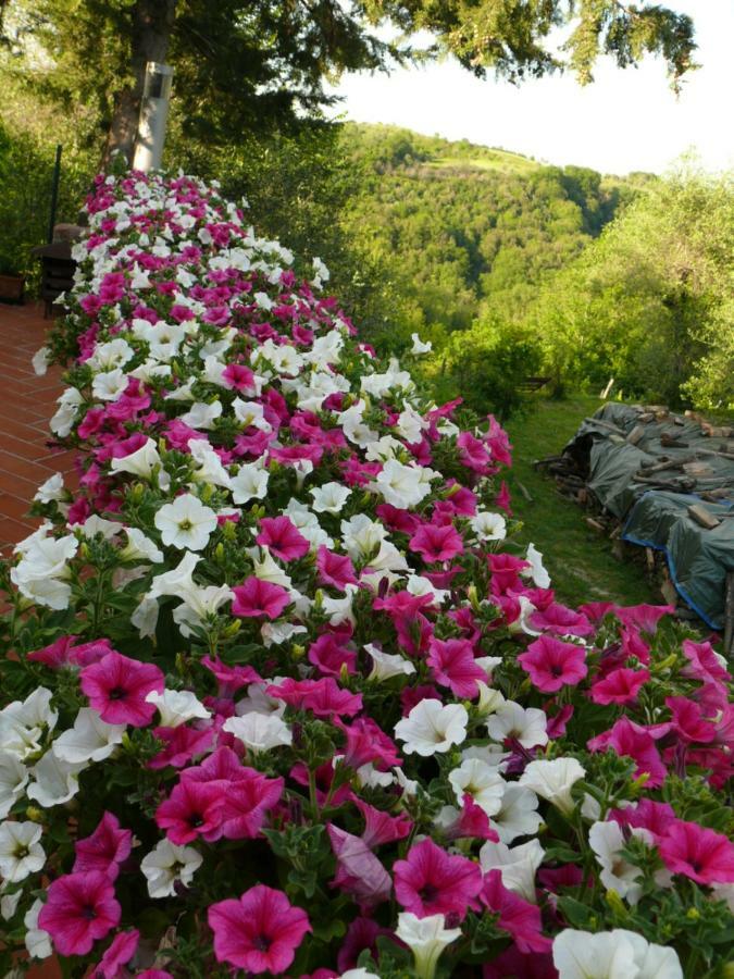 Agriturismo Podere La Casa Palaia Exterior foto